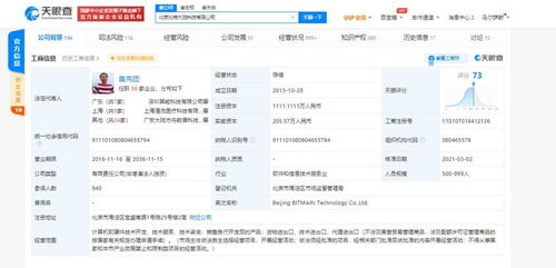计算机软硬件技术开发与销售 驱动数字时代双引擎