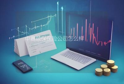 中赛顺保保险公司在计算机软硬件的技术开发与销售领域的发展与优势